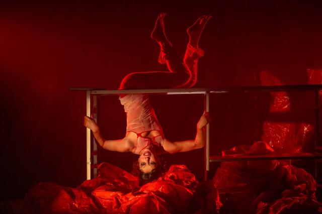 Circo, música e exposições movimentam a agenda cultural do DF no fim de semana